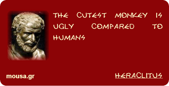 THE CUTEST MONKEY IS UGLY COMPARED TO HUMANS - HERACLITUS
