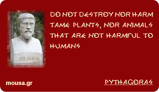DO NOT DESTROY NOR HARM TAME PLANTS, NOR ANIMALS THAT ARE NOT HARMFUL TO HUMANS - PYTHAGORAS
